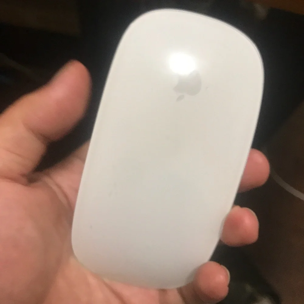 Apple mouse